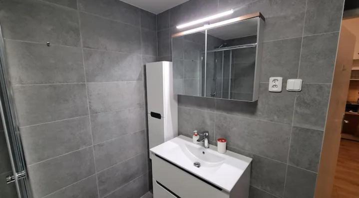 Krakovska 20 Daire