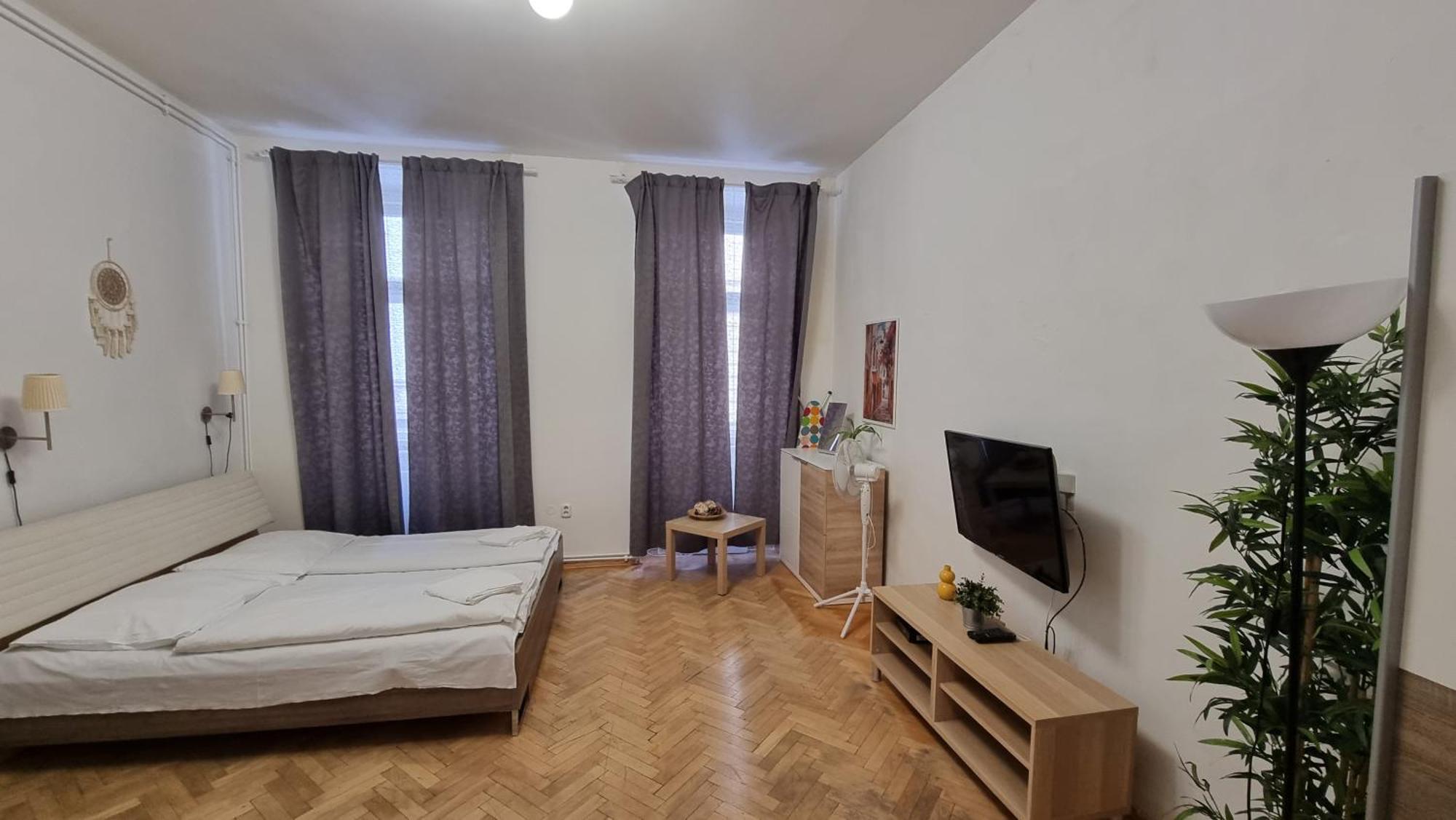 Krakovska 20 Daire