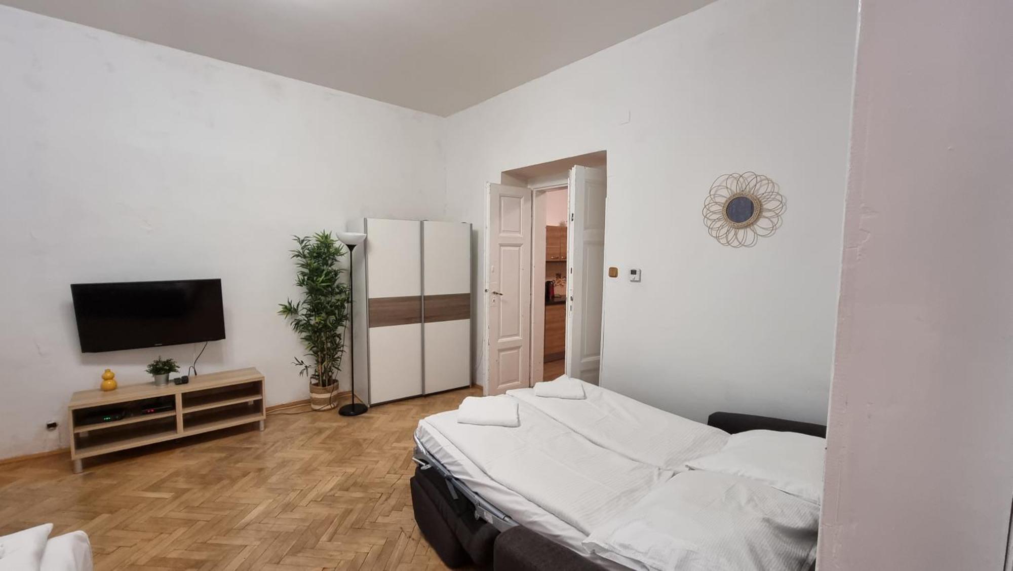 Krakovska 20 Daire